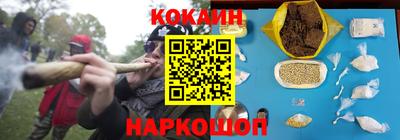 гидропоника Камышлов