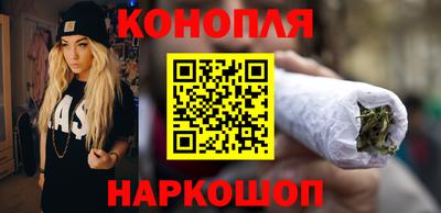 скорость Кингисепп